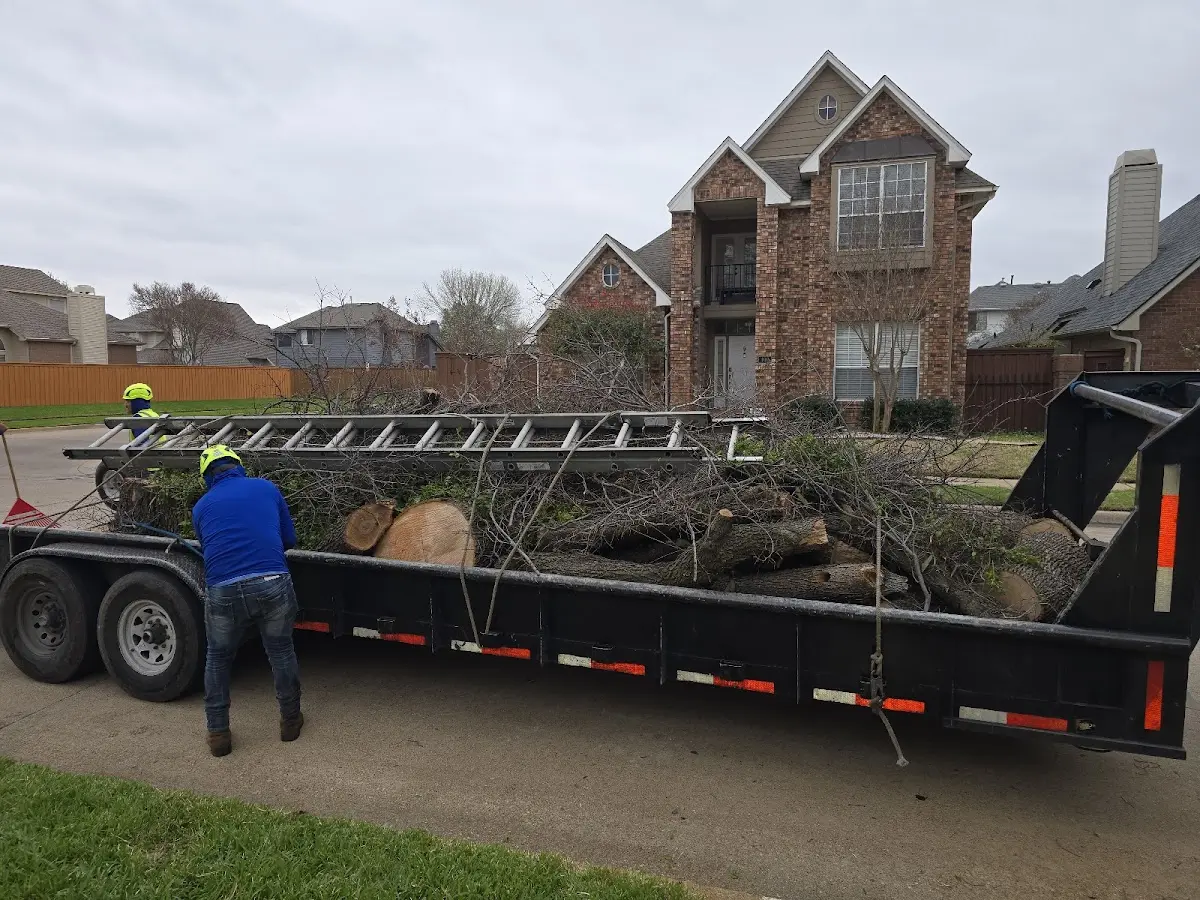 Expert Tree Pest Control with proper safety equipment in Grandview